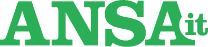 Using AI to detect weapons in schools – ANSA.it (Italian)