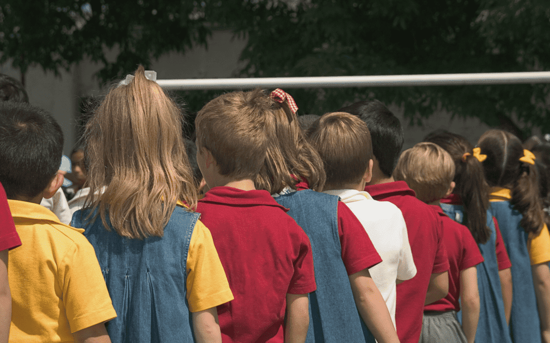 Single Point of Entry In Schools: Definition, Pros, Cons & Alternative Solutions